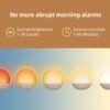 2 Sunrise Alarm Clock White Noise Machine: Natural Wake Up Light - Dimmable Clock with Bluetooth Speaker for Bedroom - 25 Sleep Sounds for Baby Adults Kids Putty