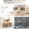 Enabot EBO ROLA Mini FamilyBot 2K Pet Camera Robot: Movable Indoor Camera Battery-Powered with Phone App, One-Touch Call, 2-Way Talk, Night Vision, Motion Detection, Video Recording