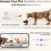 Enabot EBO ROLA Mini FamilyBot 2K Pet Camera Robot: Movable Indoor Camera Battery-Powered with Phone App, One-Touch Call, 2-Way Talk, Night Vision, Motion Detection, Video Recording