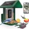 Bird Feeder with Camera Solar Powered : Smart Camera Bird Feeder 2K Live Feed Cam for Backyard - AI Identify Auto Capture Videos Pictures, Gifts for Birdlover Mom Dad, 2.4GHz WiFi