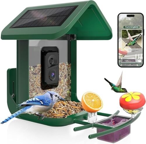 中图_1 Bird Feeder with Camera Solar Powered : Smart Camera Bird Feeder 2K Live Feed Cam for Backyard - AI Identify Auto Capture Videos Pictures, Gifts for Birdlover Mom Dad, 2.4GHz WiFi