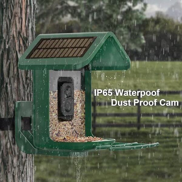 Bird Feeder with Camera Solar Powered : Smart Camera Bird Feeder 2K Live Feed Cam for Backyard - AI Identify Auto Capture Videos Pictures, Gifts for Birdlover Mom Dad, 2.4GHz WiFi