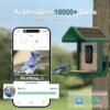 Bird Feeder with Camera Solar Powered : Smart Camera Bird Feeder 2K Live Feed Cam for Backyard - AI Identify Auto Capture Videos Pictures, Gifts for Birdlover Mom Dad, 2.4GHz WiFi